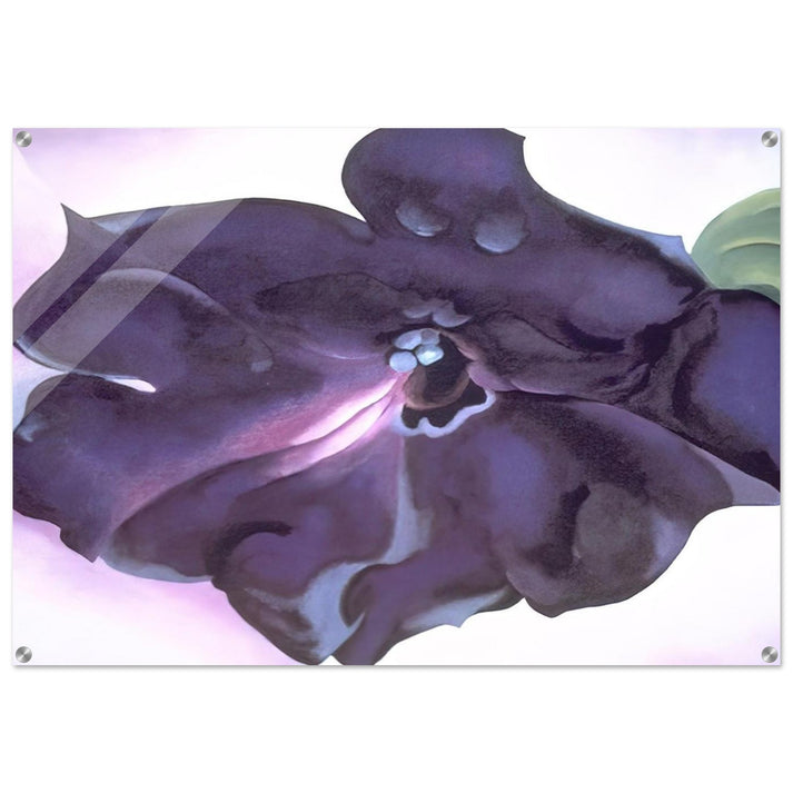 Petunia - Georgia O'Keeffe Acrylic Print - 70x100 cm / 28x40″ inches | Georgia O'Keeffe Wall Art | Georgia O'Keeffe Prints