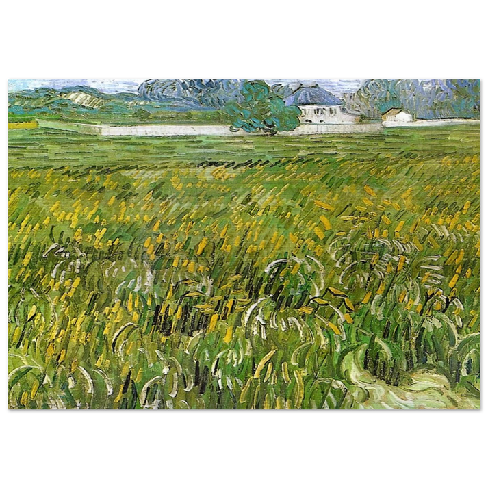 Wheat Field at Auvers with White House - Vincent van Gogh Brushed Aluminum Print - 70x100 cm / 28x40 inches | Vincent van Gogh Aluminum Print | Vincent van Gogh Prints