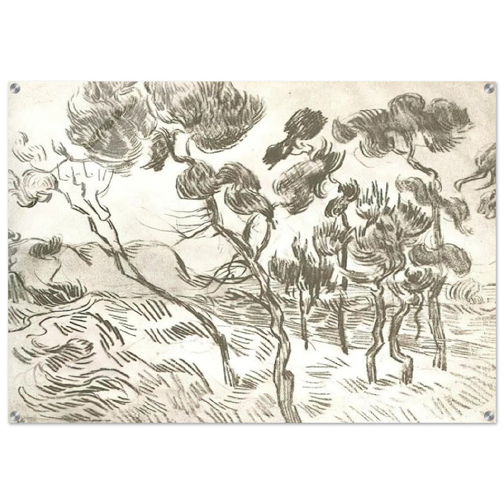 A Group of Pine Trees near a House - Vincent van Gogh Acrylic Print - 70x100 cm / 28x40″ inches