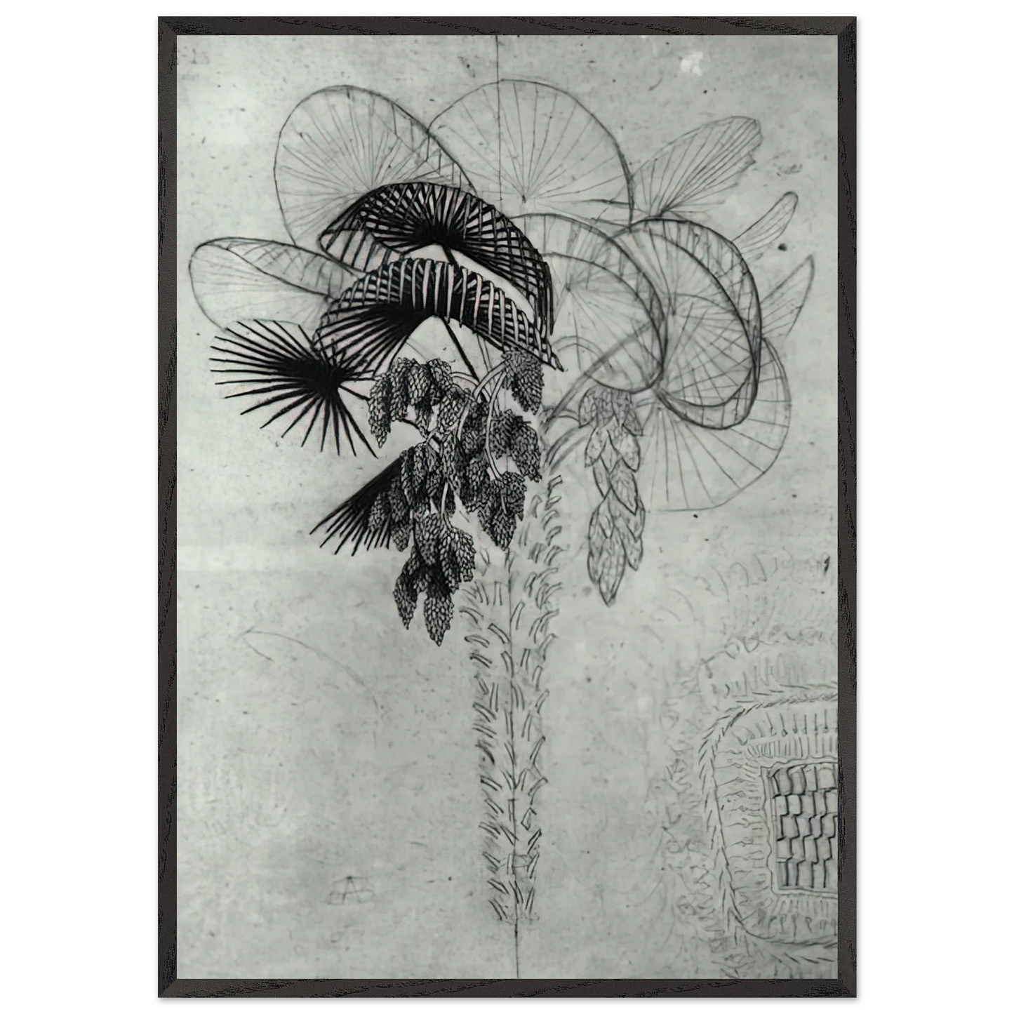 PALM TREE SKETCH - MC Escher Framed Art Print – Black Wooden Frame - Default Title - -Framed Art Print