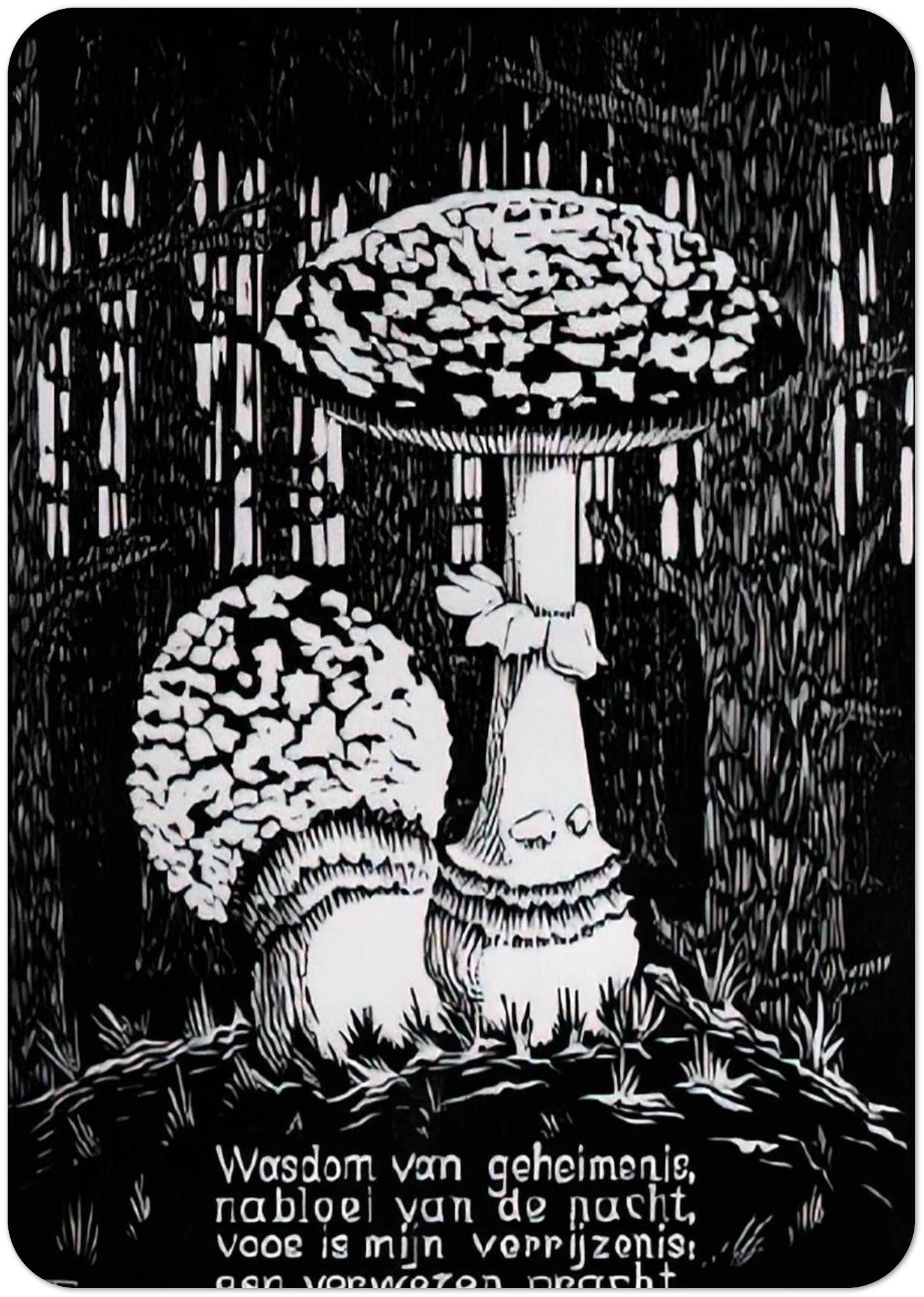 EMBLEMATA TOADSTOOL By MC Escher Pack of 10 Post Cards | MC Escher Post Cards | A6 (10.5 x 14.8 cm) - 4.1 x 5.8 inches