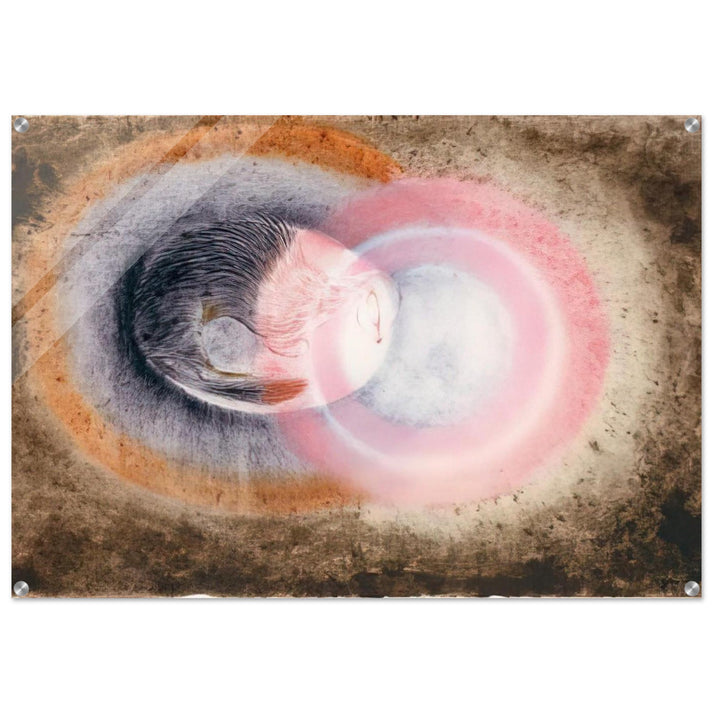 Hibernation - 1954 - Morris Graves Acrylic Print - 70x100 cm / 28x40″ inches | Morris Graves Wall Art | Morris Graves Prints