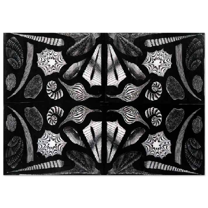 MC Escher - ESCHER (5) Wall Art - 60x80 cm / 24x32 inches - Premium Wooden Framed Poster With Fine Art Paper-canvas - White frame