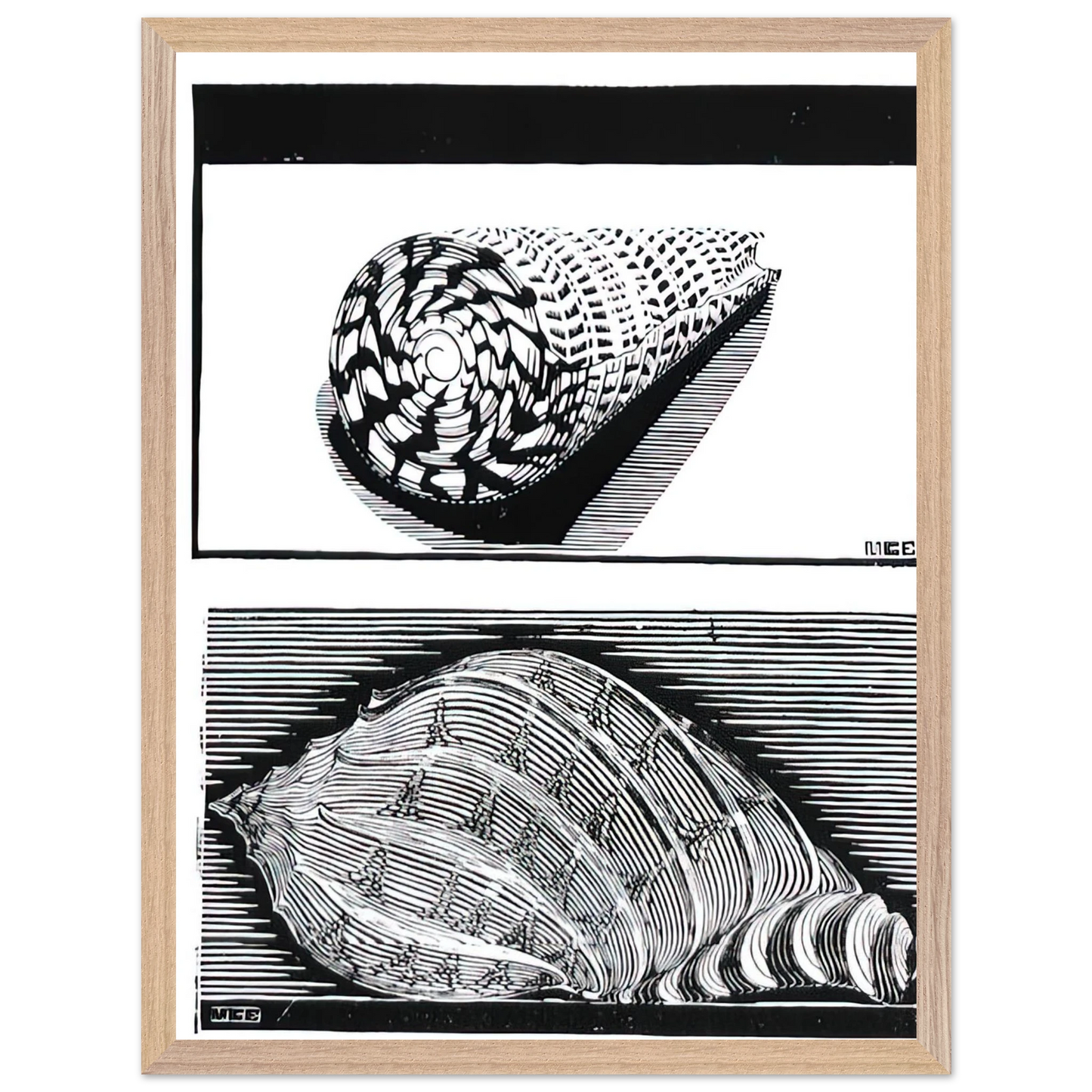 MC Escher - SEA SHELLS Wall Art - 30x40 cm / 12x16 inches - Premium Wooden Framed Poster With Fine Art Paper - Black frame