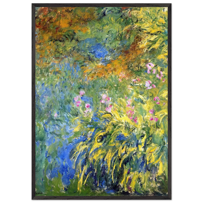 Irises 3 - claude monet 70x100 cm / 28x40 inches Framed Art Print – Black Wooden Frame