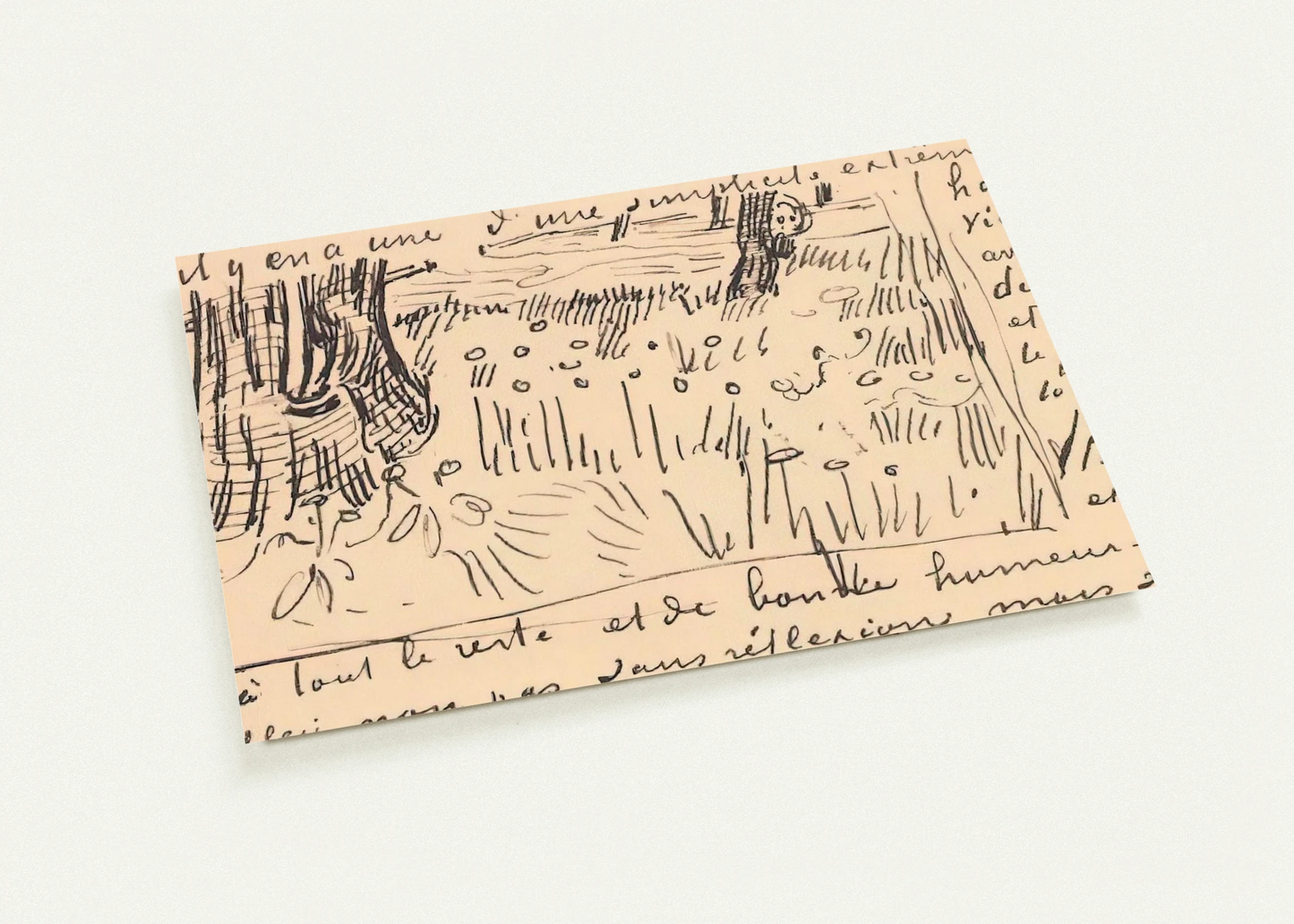 Field of Grass with Dandelions and Tree Trunks By Vincent van Gogh Pack of 10 Post Cards | Vincent van Gogh Post Cards | A6 (10.5 x 14.8 cm) - 4.1 x 5.8 inches