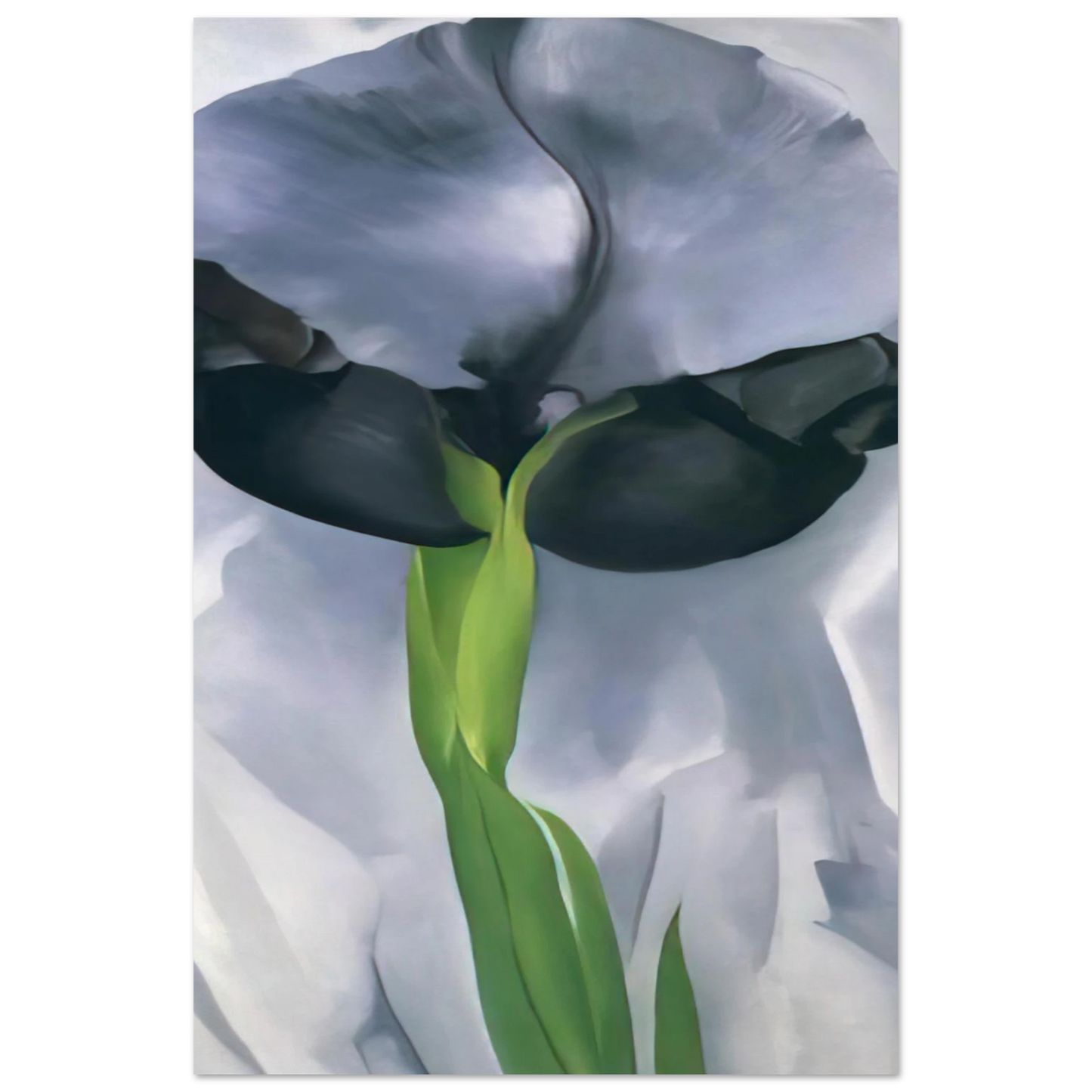 Georgia O'Keeffe - Iris 7 Fine Art Poster - 75x100 cm / 30x40 inches