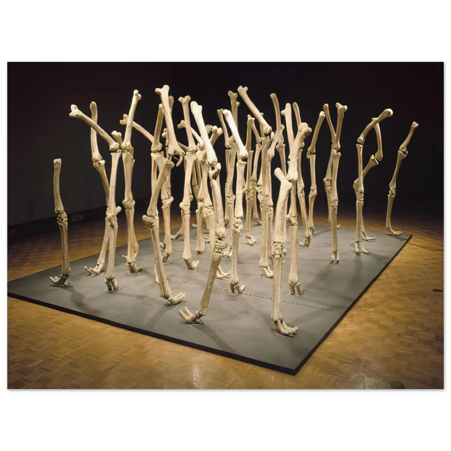 Nancy Graves - VARIABILITY OF SIMILAR FORMS 1970 Fine Art Poster - Default Title