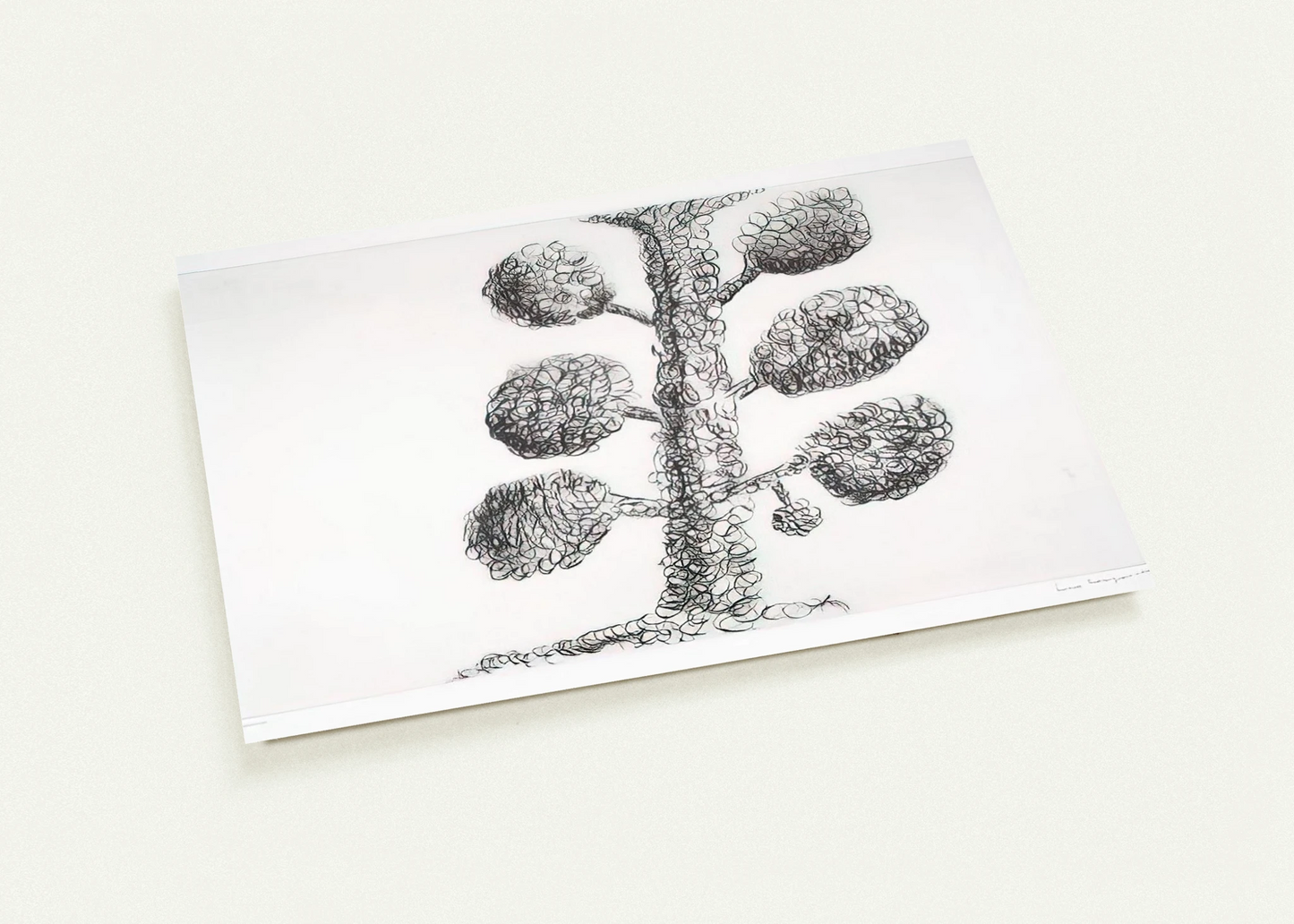 c1e9d745-3049-4316-af4e-a6beeb590e33