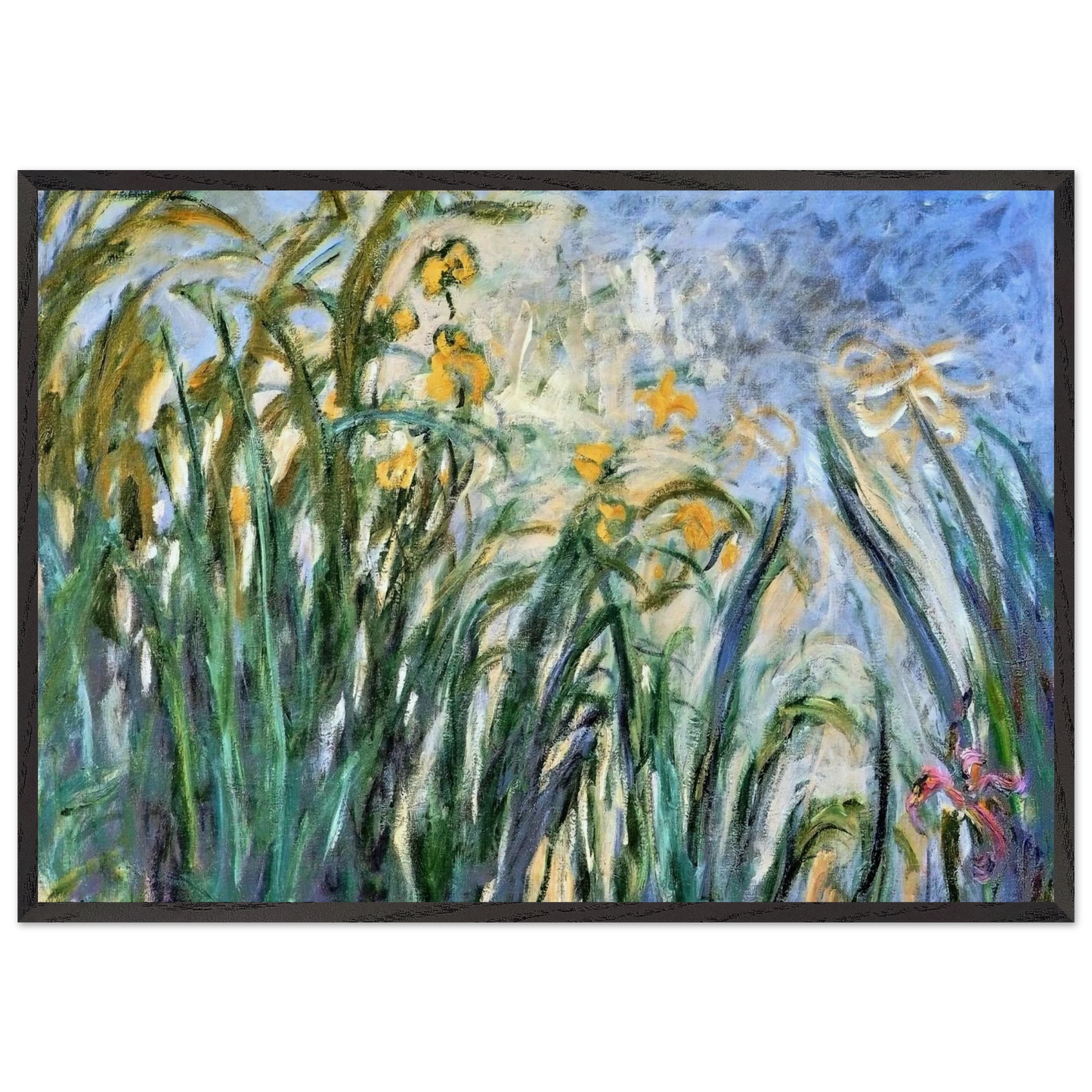 Yellow Irises and Malva - claude monet Framed Art Print – Black Wooden Frame - Default Title - -Framed Art Print