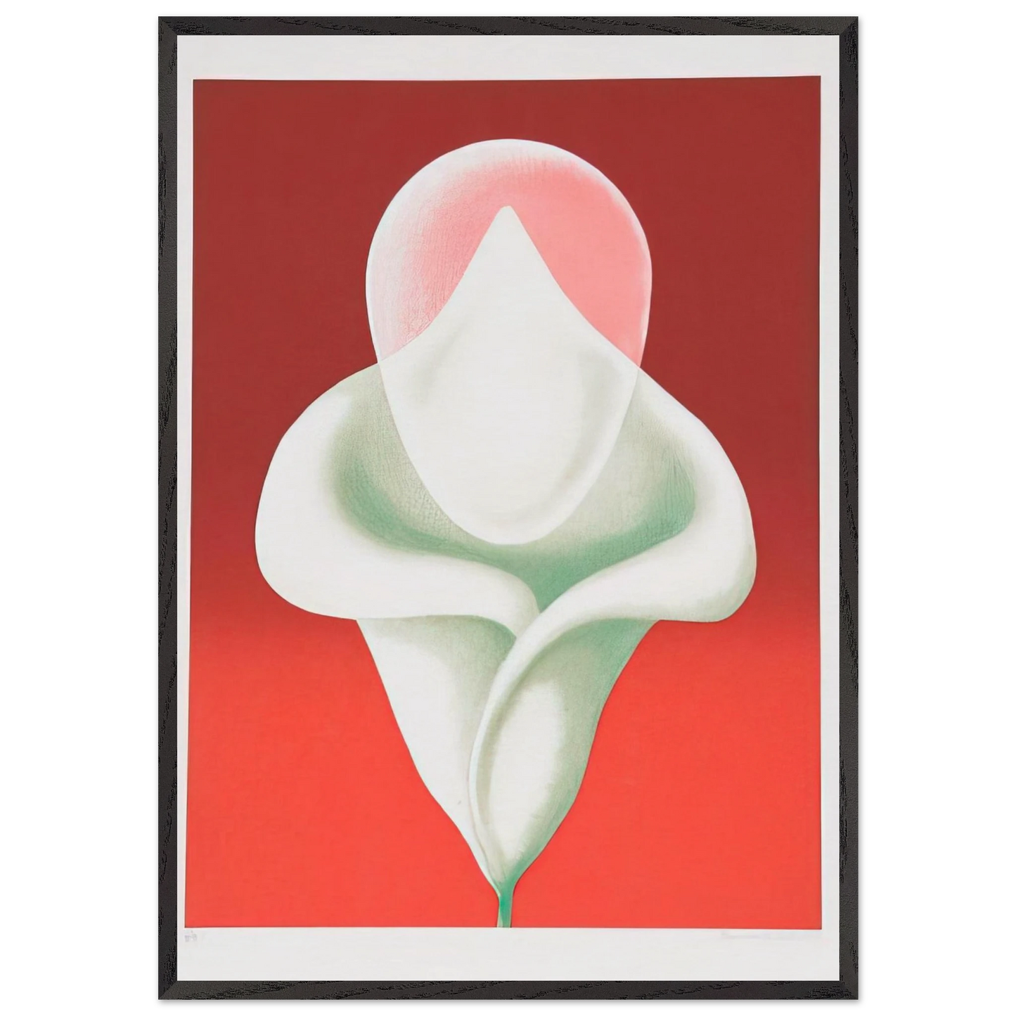 Abstract Tulip - 1979 - Clarence Holbrook Carter 70x100 cm / 28x40 inches Framed Art Print – Black Wooden Frame