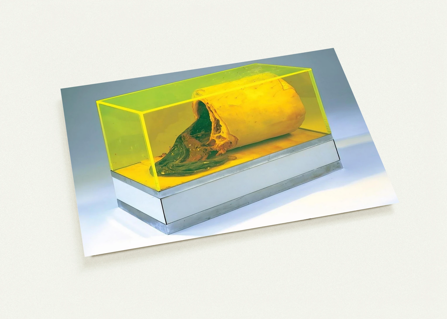 c3109a03-275e-4319-b218-79cde63ee90a