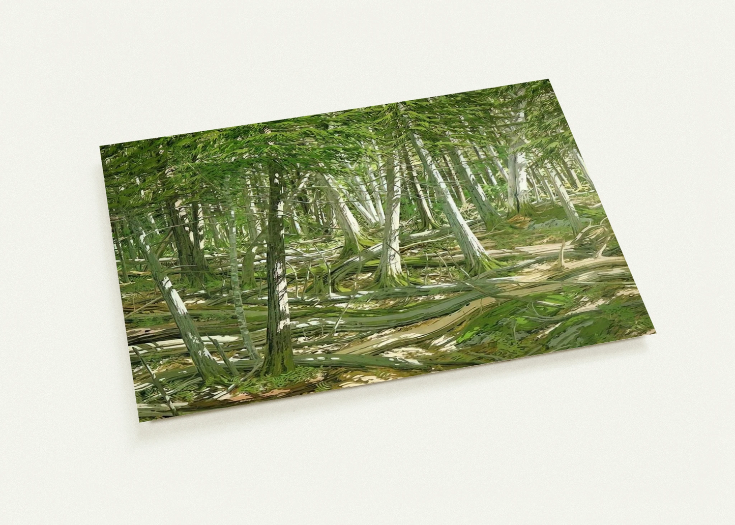 c31f0d56-1c71-4a07-b5ae-ced9e698a256