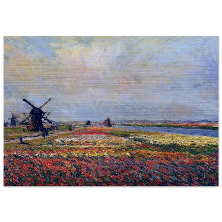 Fields of Flowers and Windmills near Leiden - claude monet Brushed Aluminum Print - 70x100 cm / 28x40 inches | claude monet Aluminum Print | claude monet Prints