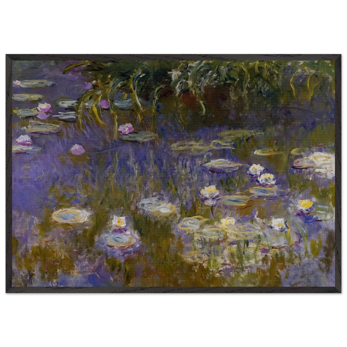 Water Lilies Yellow and Lilac - claude monet 70x100 cm / 28x40 inches Framed Art Print – Black Wooden Frame