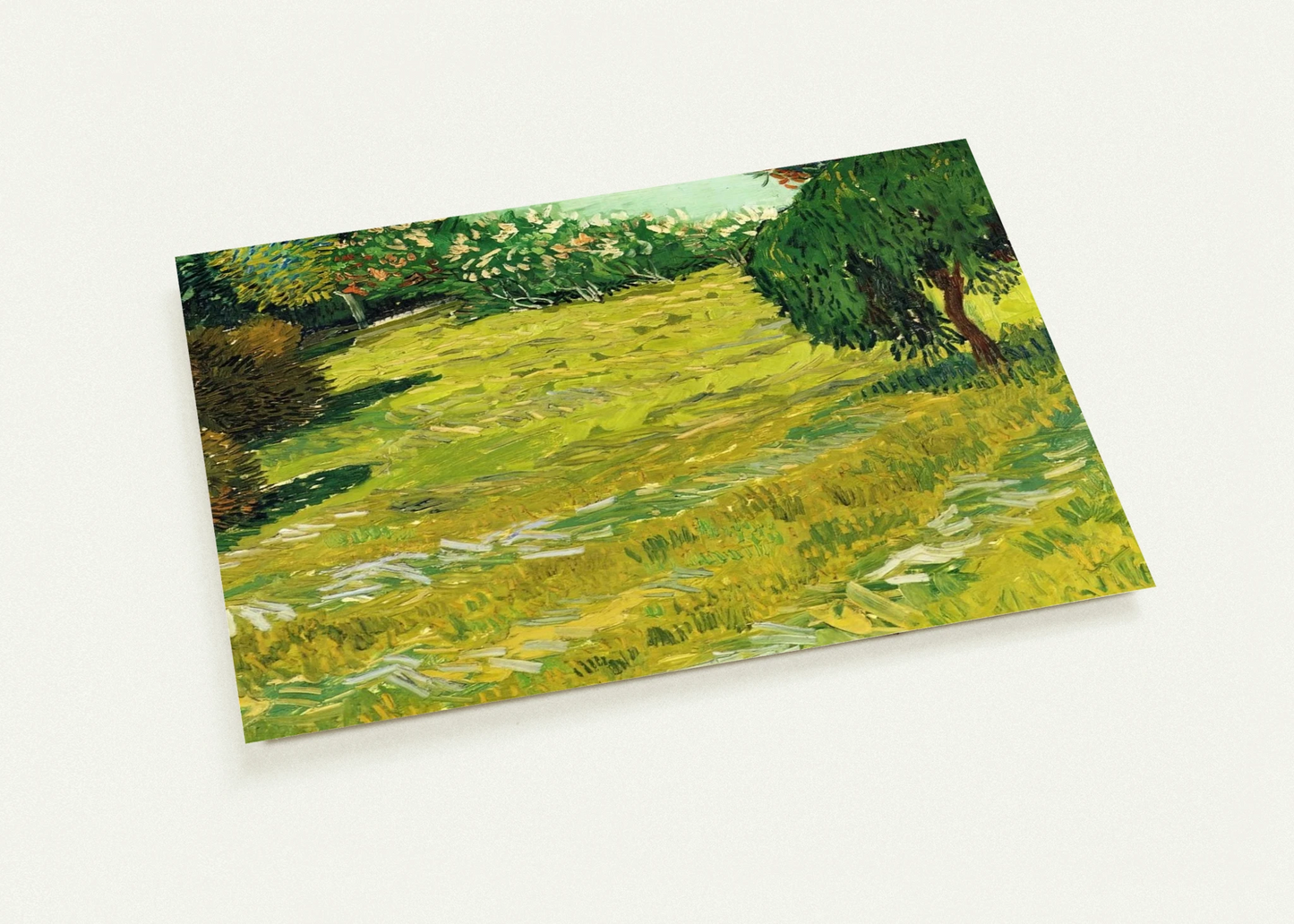 Garden with Weeping Willow By Vincent van Gogh Pack of 10 Post Cards | Vincent van Gogh Post Cards | A6 (10.5 x 14.8 cm) - 4.1 x 5.8 inches