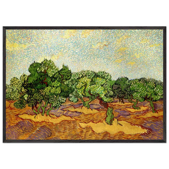 Olive Grove - Pale Blue Sky - Vincent van Gogh 70x100 cm / 28x40 inches Framed Art Print – Black Wooden Frame