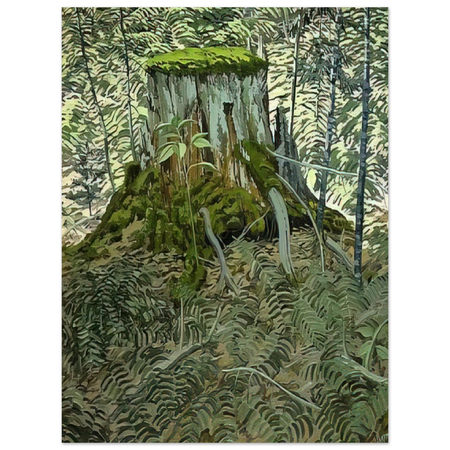 Neil Welliver - Stump and Ferns - Contemporary Realism Fine Art Poster - Default Title