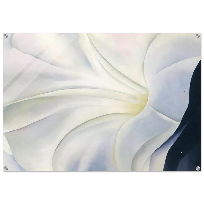 Morning Glory with Black - Georgia O'Keeffe Acrylic Print - 70x100 cm / 28x40″ inches | Georgia O'Keeffe Wall Art | Georgia O'Keeffe Prints