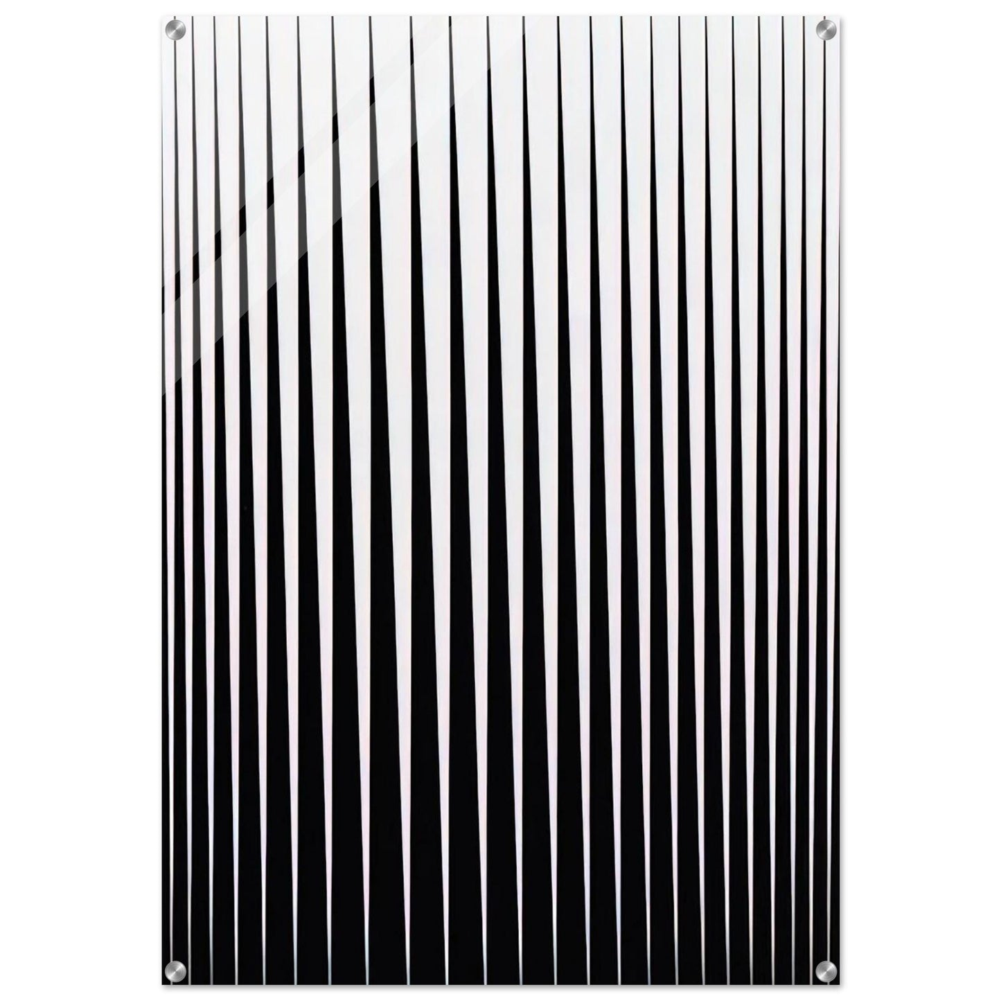 BREATHE 1966 - Bridget Riley Acrylic Print - 70x100 cm / 28x40″ inches