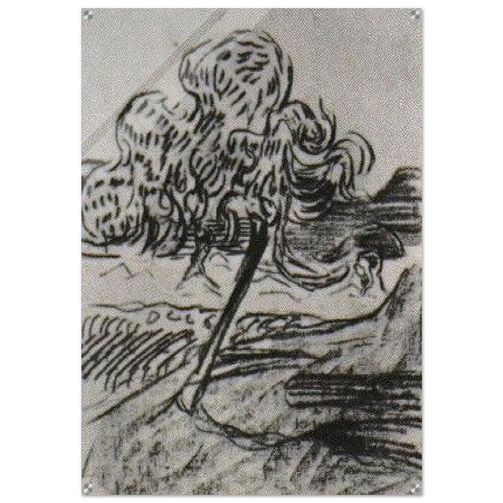 Study of a Fruit Tree - Vincent van Gogh Acrylic Print - 70x100 cm / 28x40″ inches