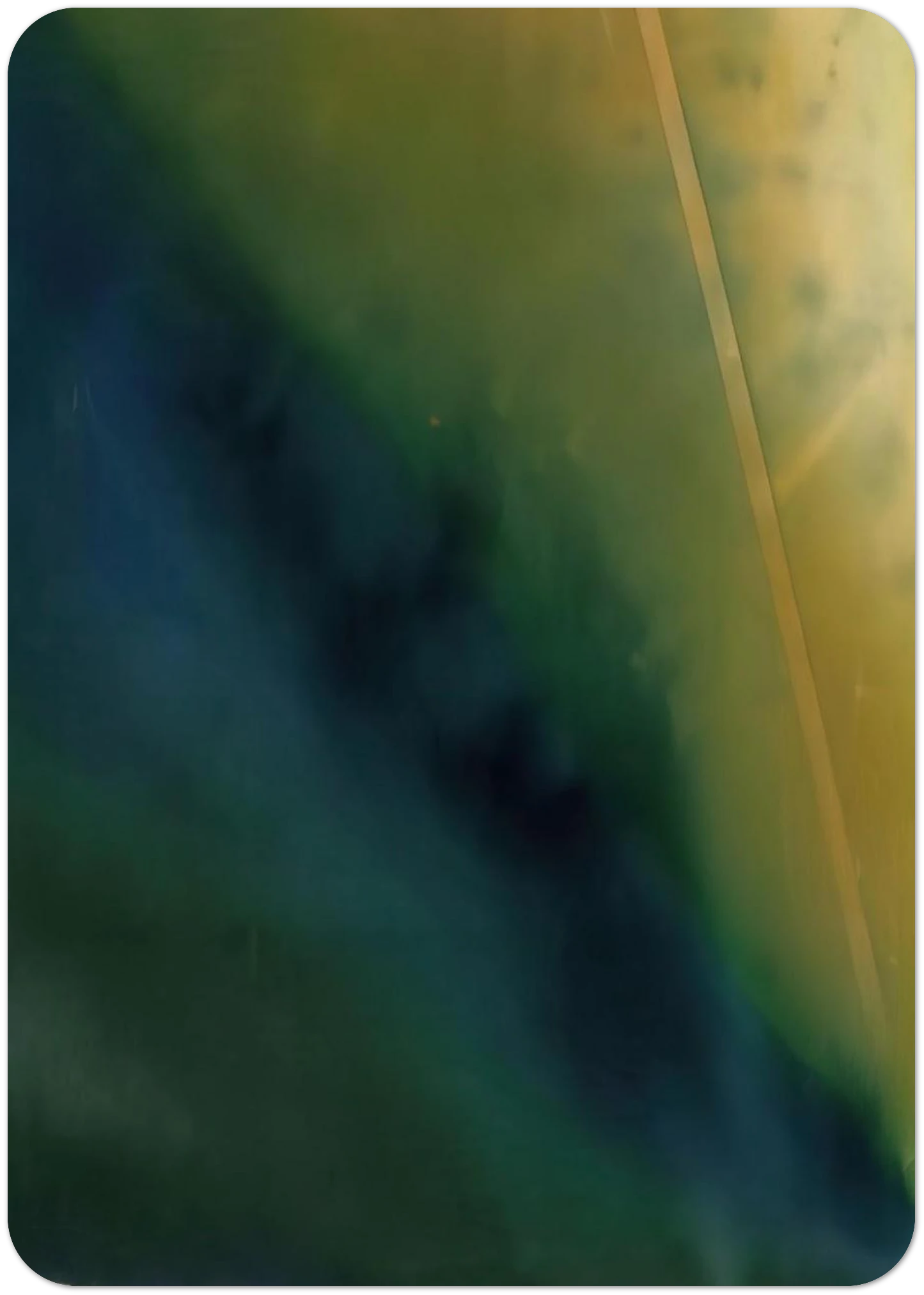 c7fac361-8d91-47ba-8022-87ad18d5b9e3