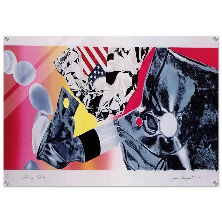 Flamingo Capsule - James Rosenquist Acrylic Print - 70x100 cm / 28x40″ inches
