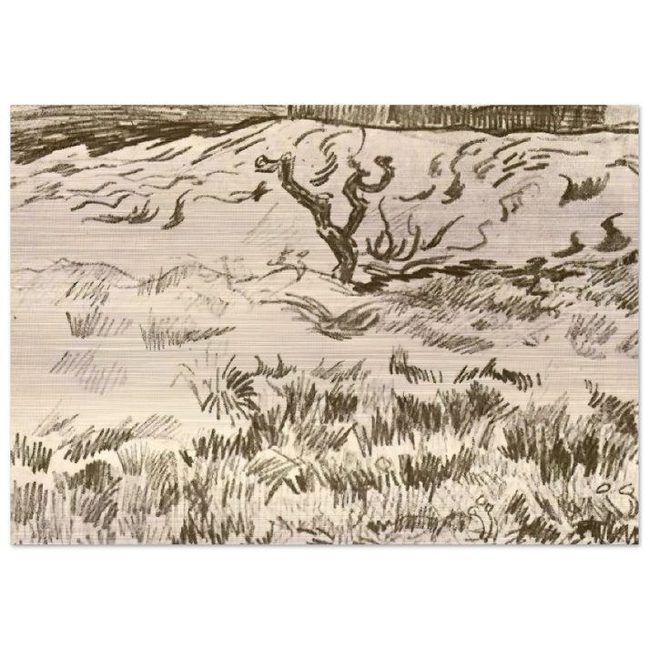 Field with Bare Tree - Vincent van Gogh Brushed Aluminum Print - 70x100 cm / 28x40 inches | Vincent van Gogh Aluminum Print | Vincent van Gogh Prints