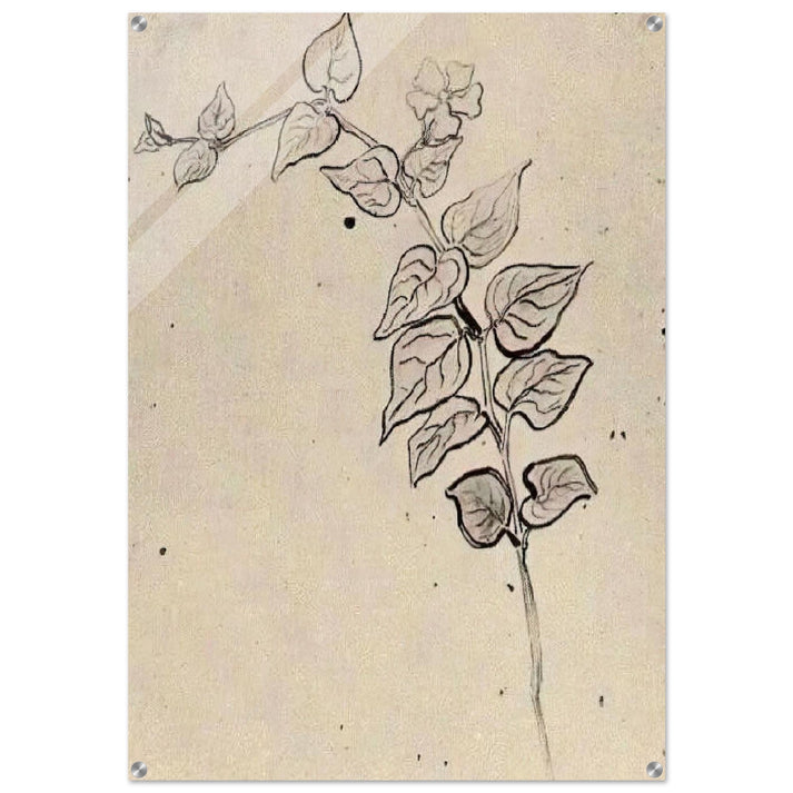 Branch with Leaves - Vincent van Gogh Acrylic Print - 70x100 cm / 28x40″ inches