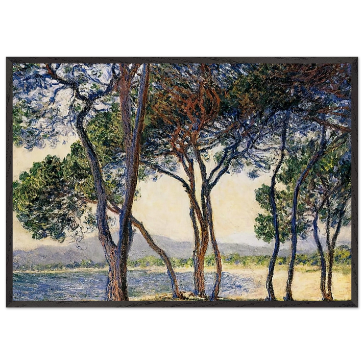 Trees by the Seashore at Antibes - claude monet 70x100 cm / 28x40 inches Framed Art Print – Black Wooden Frame
