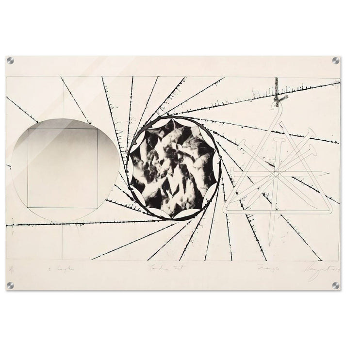 Sunglasses - Landing Net - Triangle - James Rosenquist Acrylic Print - 70x100 cm / 28x40″ inches