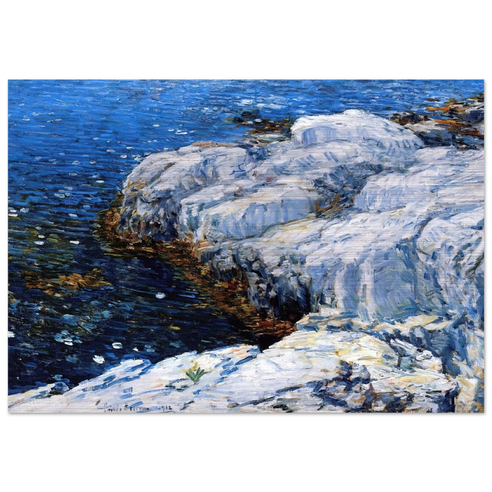 Jelly Fish - Childe Hassam Brushed Aluminum Print - 70x100 cm / 28x40 inches | Childe Hassam Aluminum Print | Childe Hassam Prints