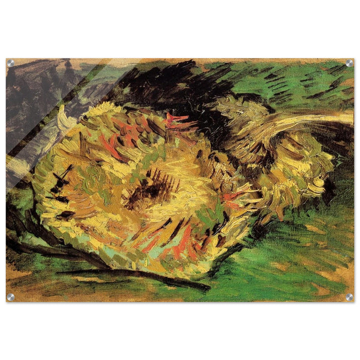 Two Cut Sunflowers - Vincent van Gogh Acrylic Print - 70x100 cm / 28x40″ inches