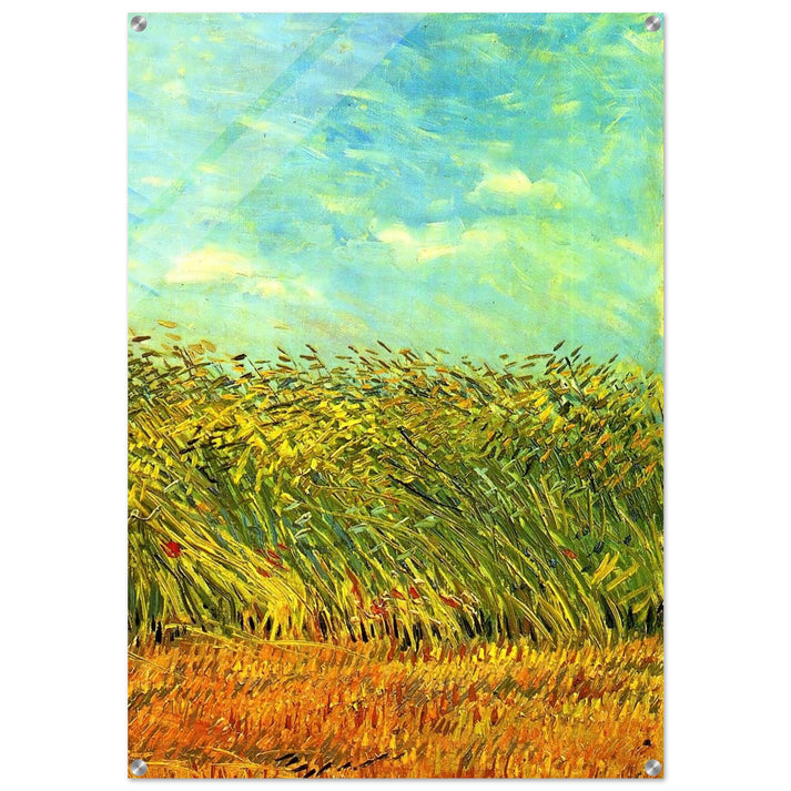 Wheat Field with a Lark - Vincent van Gogh Acrylic Print - 70x100 cm / 28x40″ inches