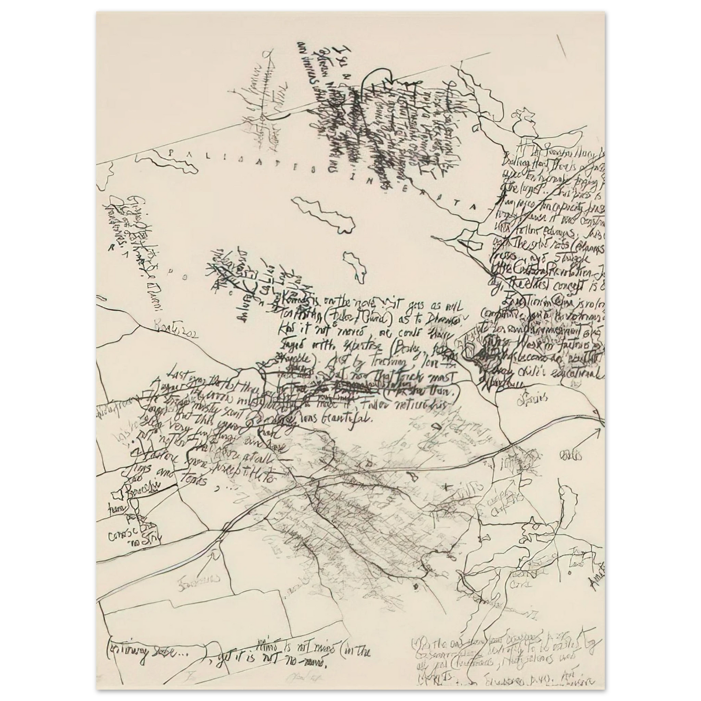John Cage - Mushroom Book Plate X - 1972 Fine Art Poster - Default Title