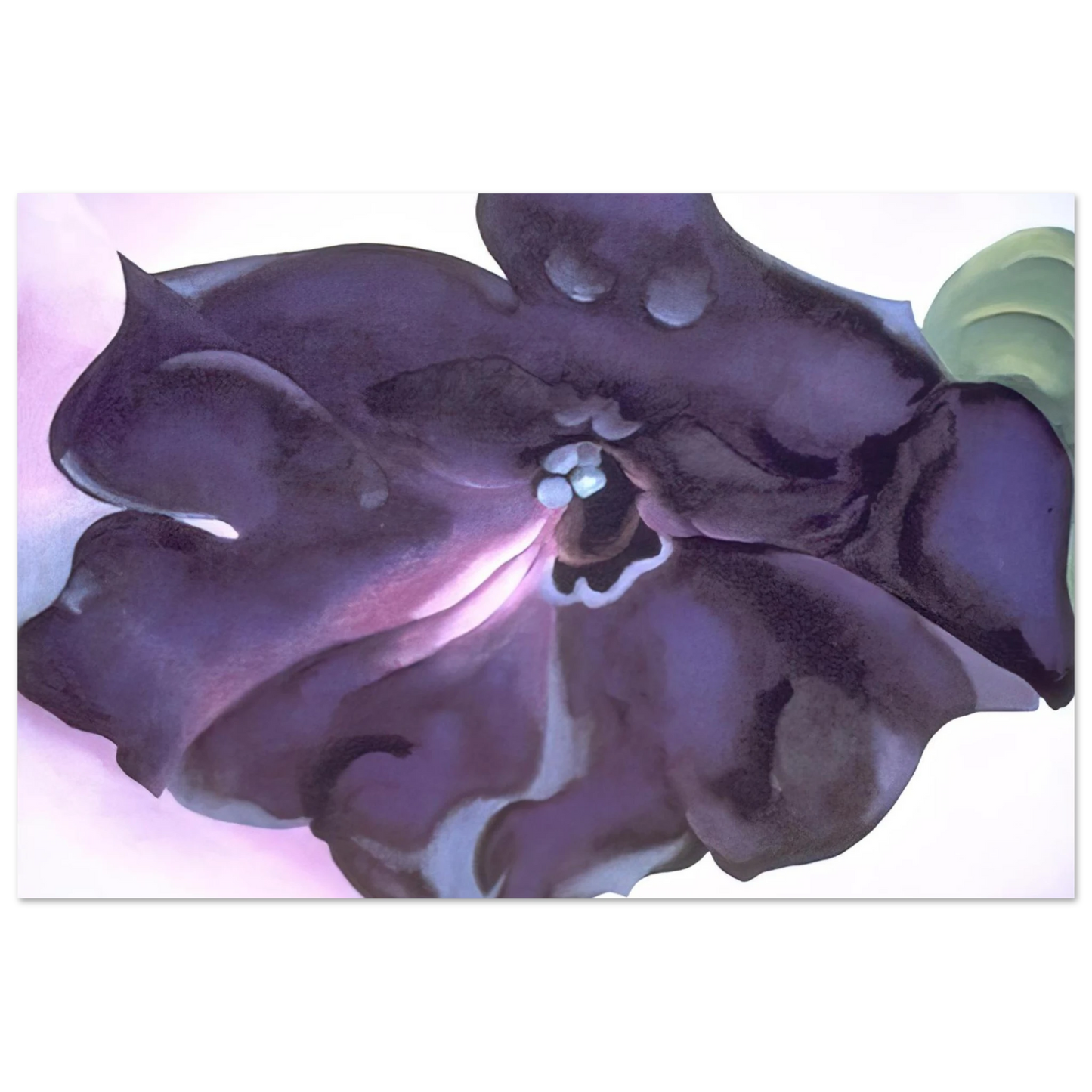 Georgia O'Keeffe - Petunia Fine Art Poster - 40x60 cm / 16x24 inches