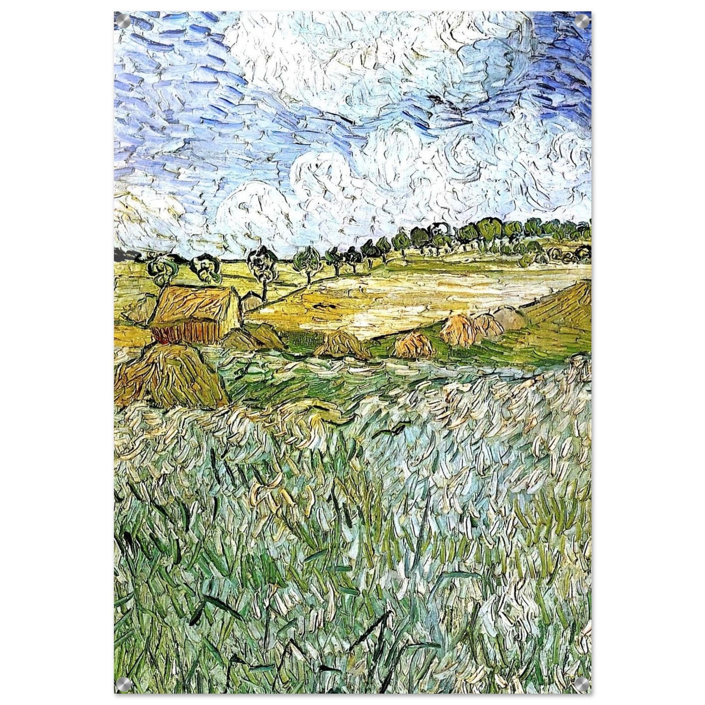 The Plain at Auvers - Vincent van Gogh Acrylic Print - 70x100 cm / 28x40″ inches | Vincent van Gogh Wall Art | Vincent van Gogh Prints