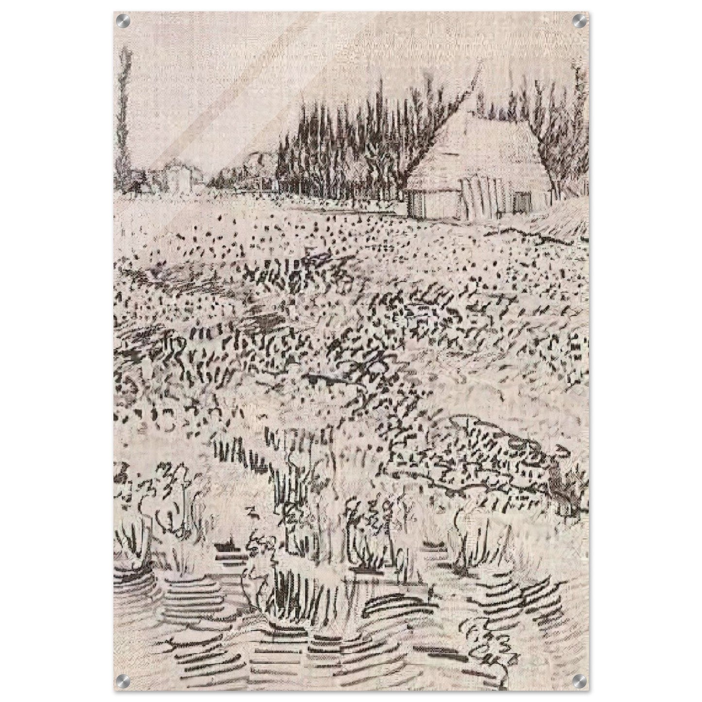 Landscape with Hut in the Camargue - Vincent van Gogh Acrylic Print - 70x100 cm / 28x40″ inches