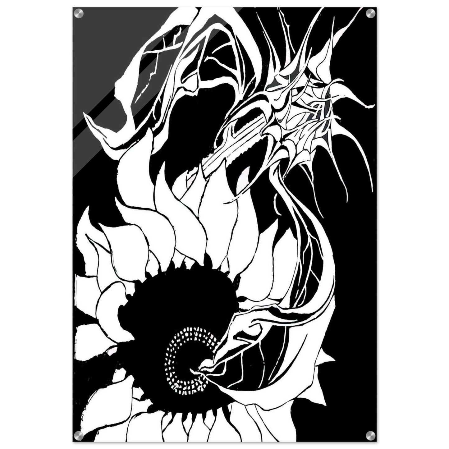 SUNFLOWERS - MC Escher Acrylic Print - 70x100 cm / 28x40″ inches | Maurits Cornelis Escher Prints