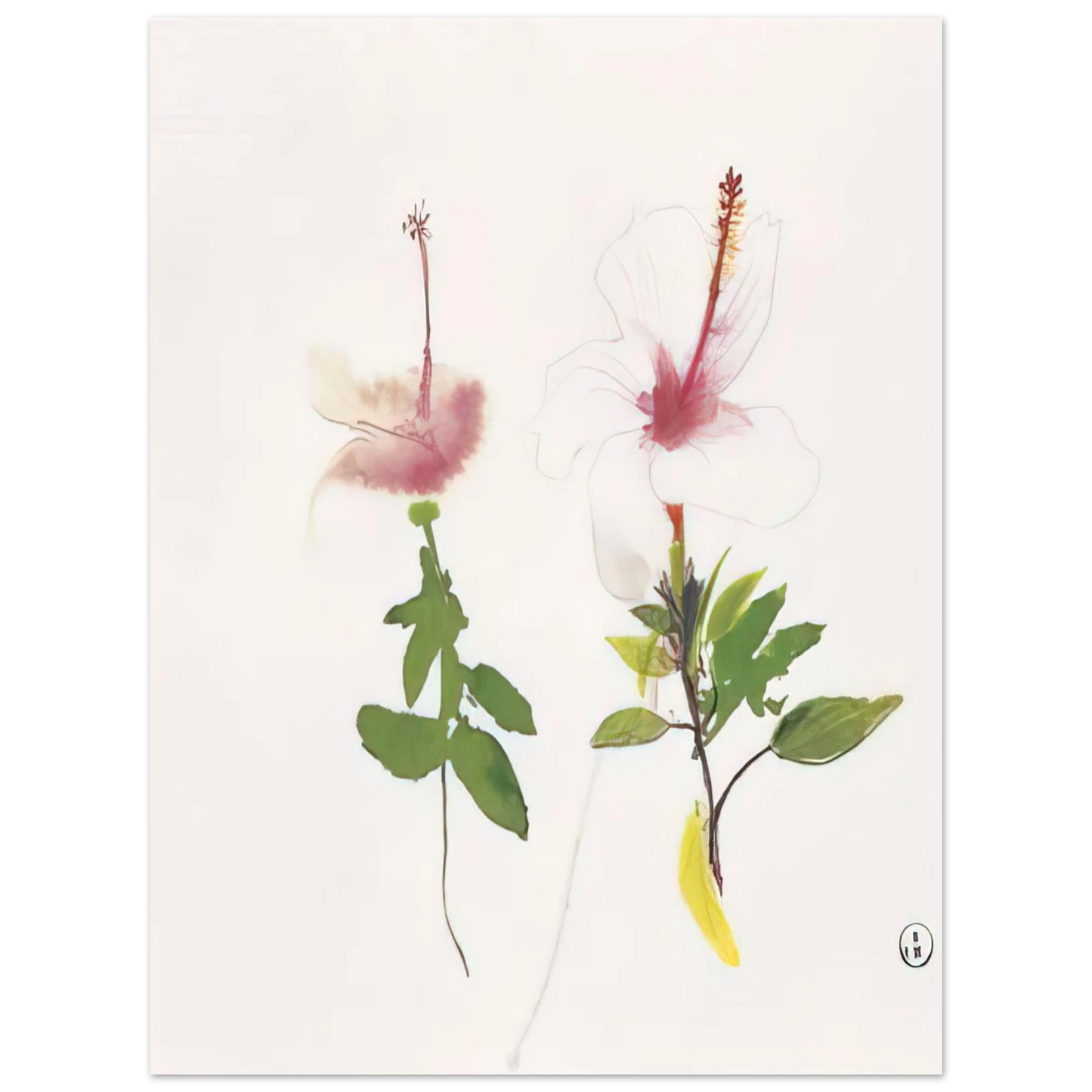 Brett Whiteley - Hibiscus - 1987 Fine Art Poster - Default Title