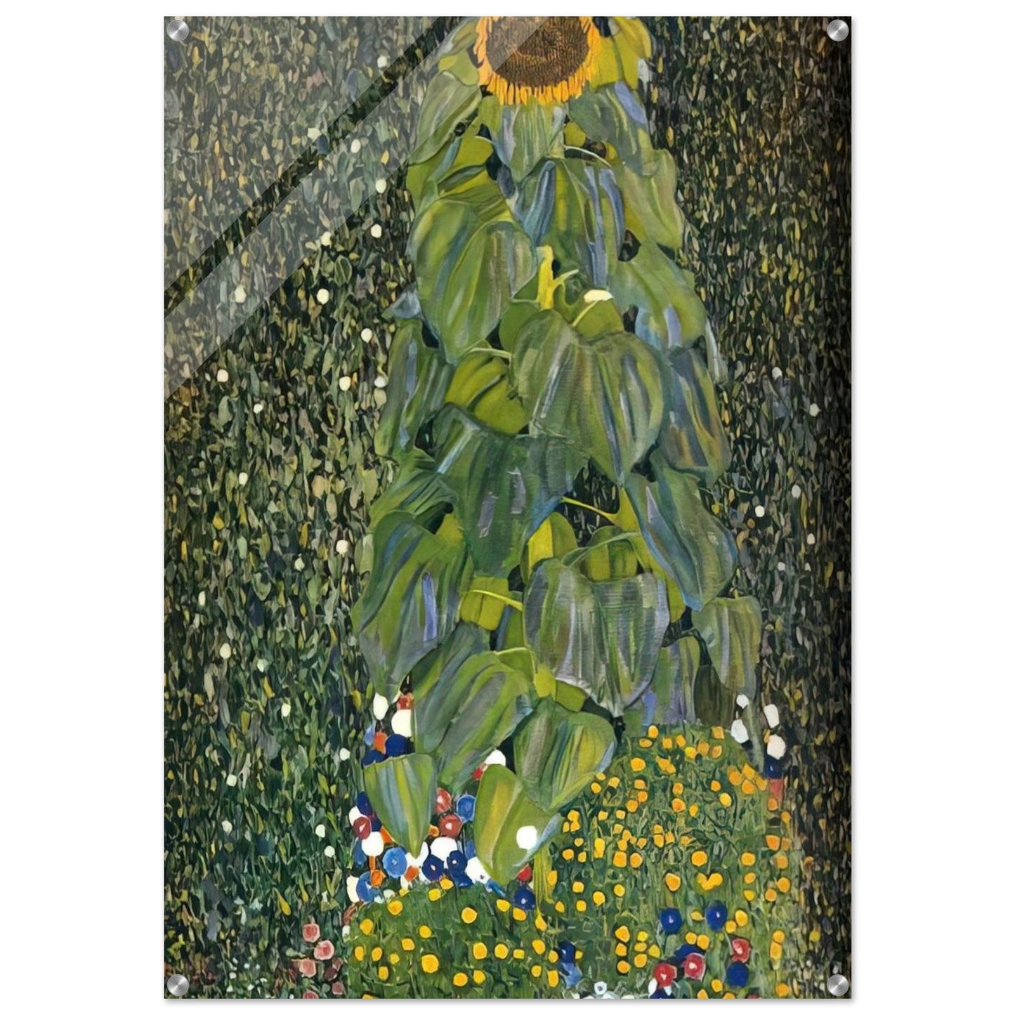 d508b21a-0771-4ddb-b125-49f38cfe5f2b