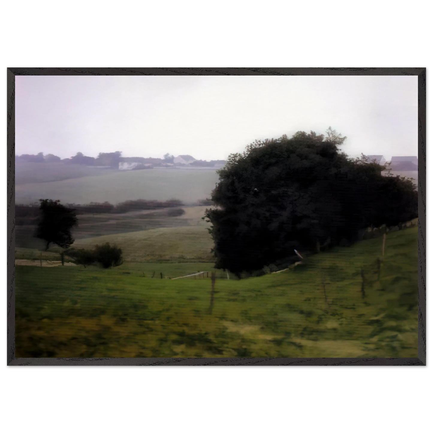 MEADOWLAND - Gerhard Richter Framed Art Print – Black Wooden Frame - Default Title - -Framed Art Print