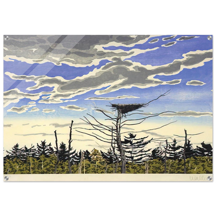 Osprey’s Nest - 1980 - Neil Welliver Acrylic Print - 70x100 cm / 28x40″ inches