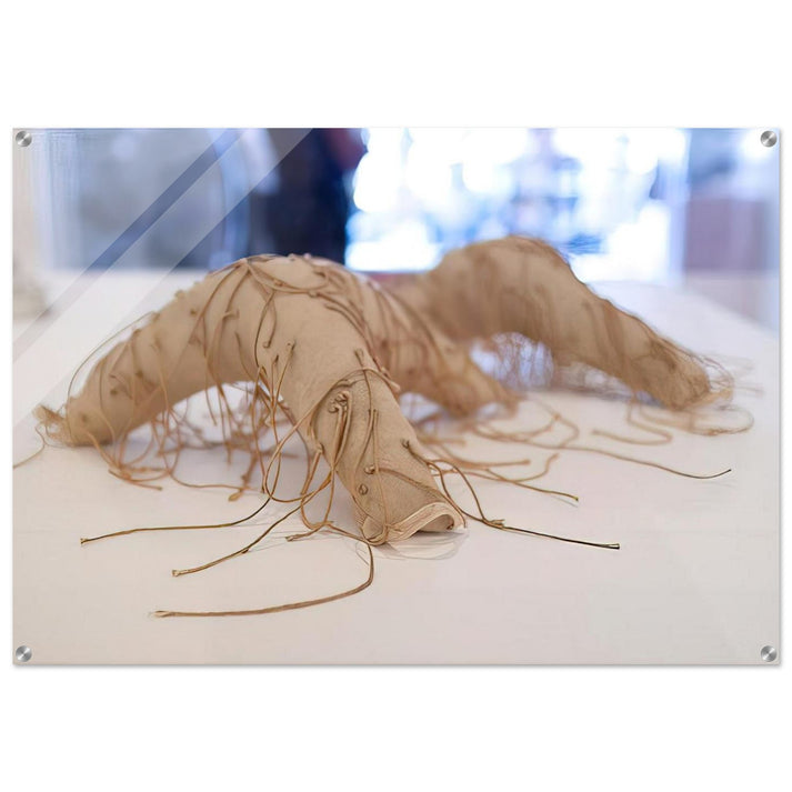 UNTITLED 1 - Eva Hesse Acrylic Print - 70x100 cm / 28x40″ inches