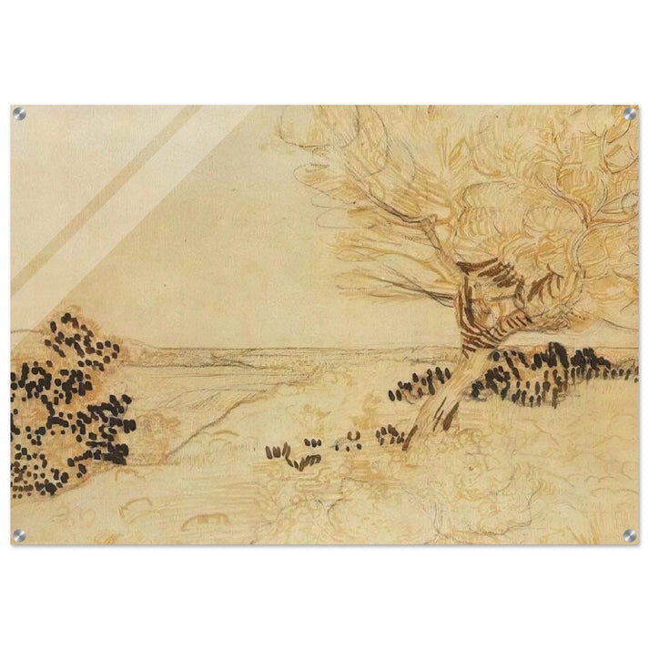 Landscape with a Tree in the Foreground - Vincent van Gogh Acrylic Print - 70x100 cm / 28x40″ inches