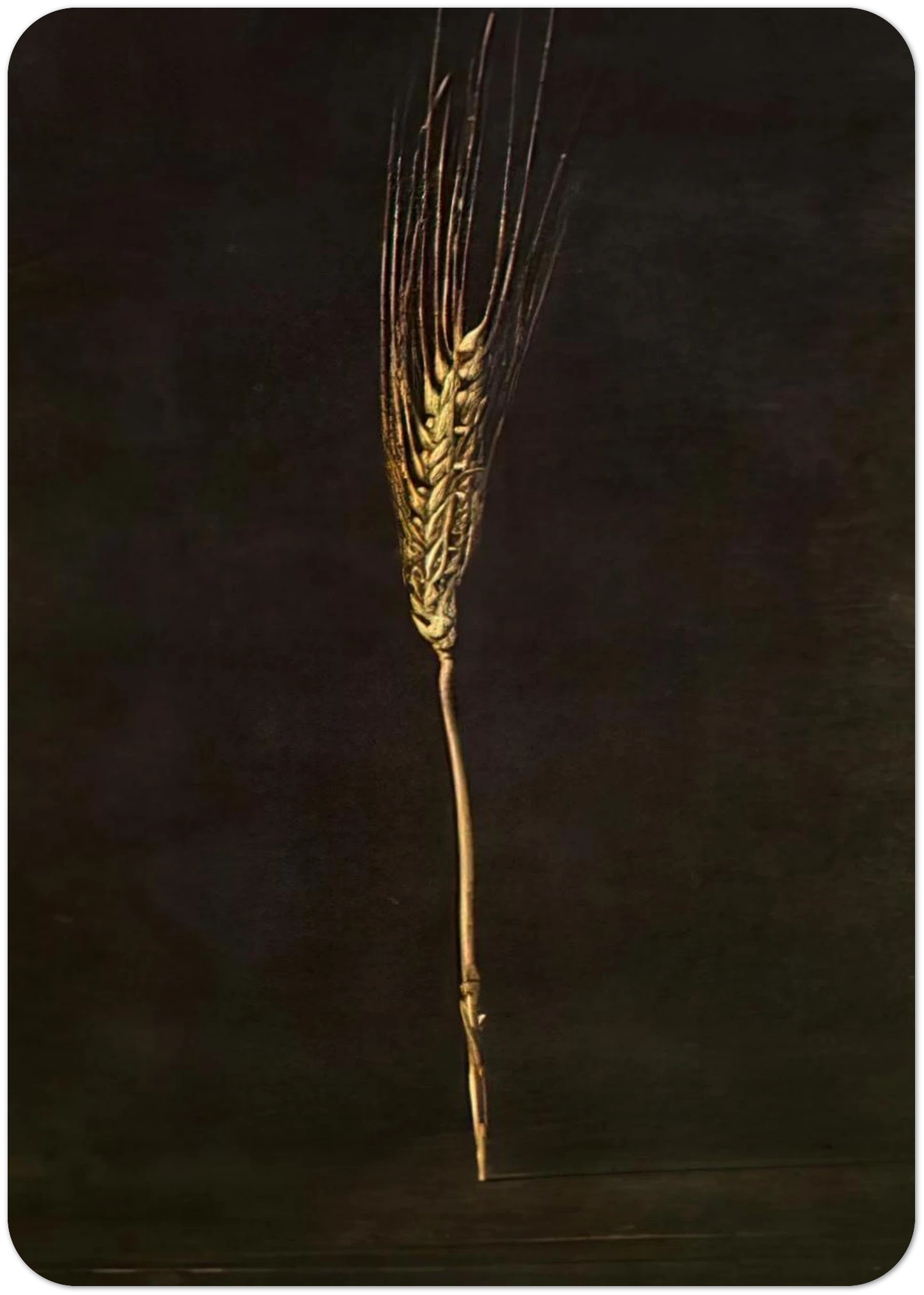 dc76e47d-7f34-453b-a338-5ab5321c35e5