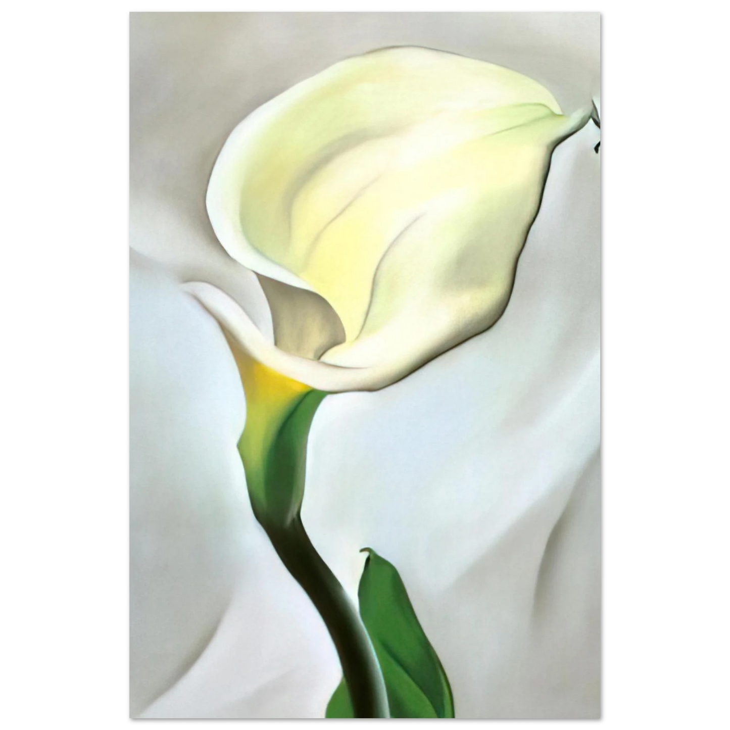 Georgia O'Keeffe - Calla Lily Turned Away Fine Art Poster - 75x100 cm / 30x40 inches