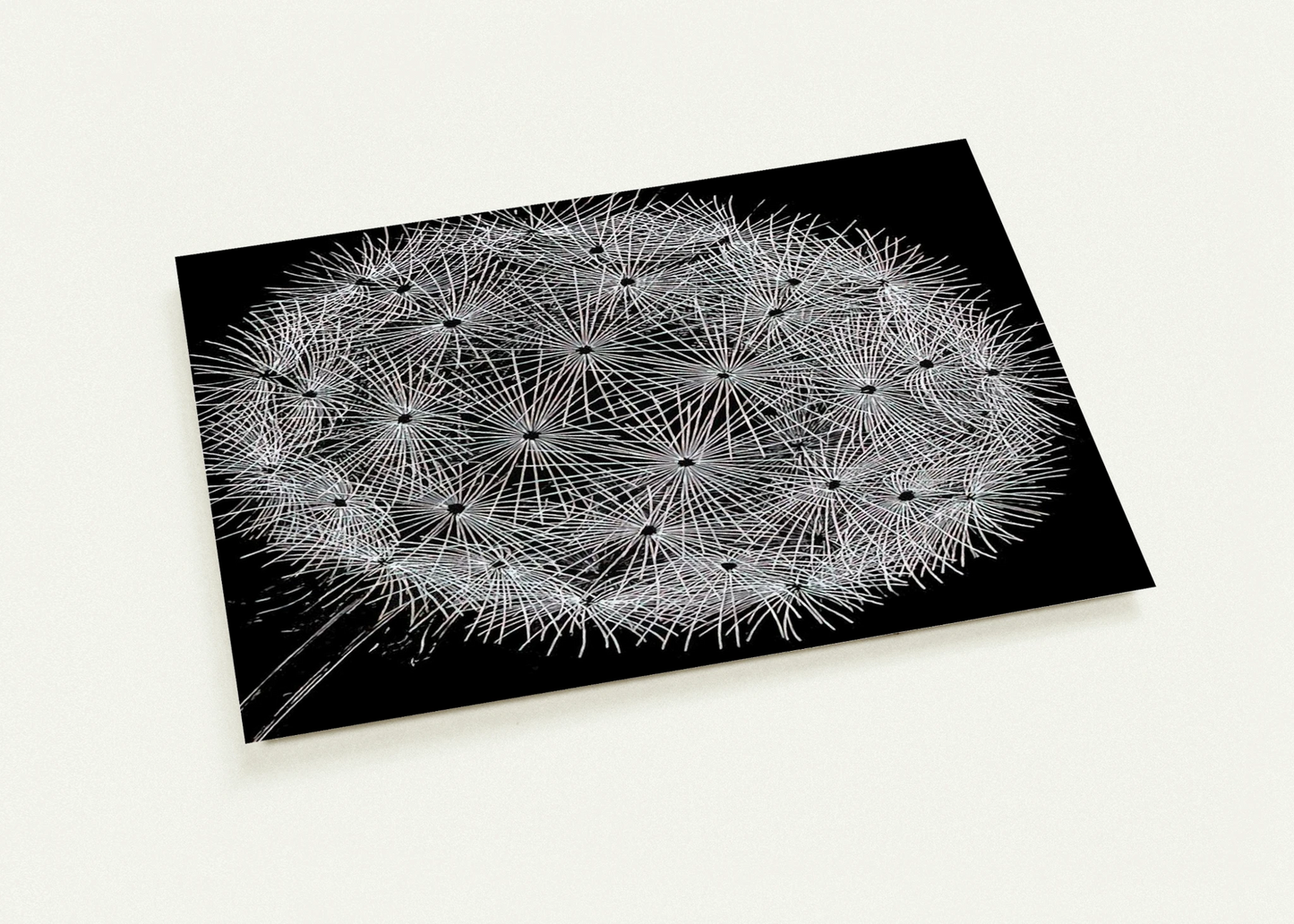 BLOWBALL II By MC Escher Pack of 10 Post Cards | MC Escher Post Cards | A6 (10.5 x 14.8 cm) - 4.1 x 5.8 inches