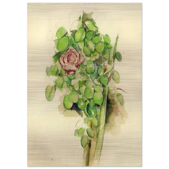 Rose Bush - Paul Cézanne Brushed Aluminum Print - 70x100 cm / 28x40 inches | Paul Cézanne Aluminum Print | Paul Cézanne Prints
