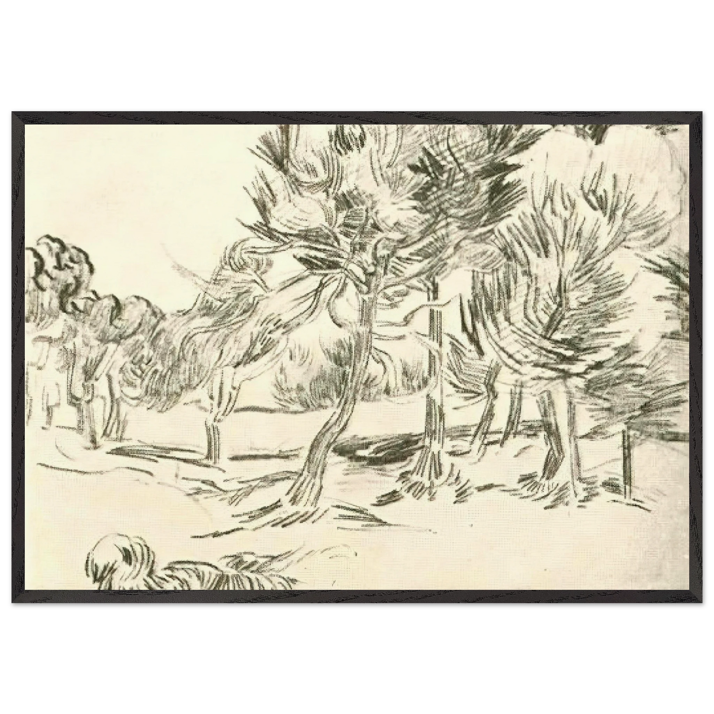 A Group of Pine Trees - Vincent van Gogh Framed Art Print – Black Wooden Frame - Default Title - -Framed Art Print